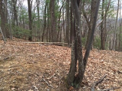 Lot 32 Windridge pic 2