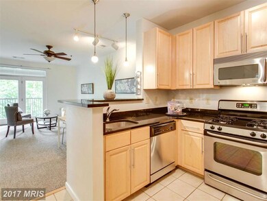 Silverton Condominiums, Silver Spring, MD 20910 - photo 3