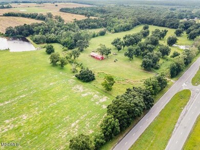 40.14 Ac Hwy 63, Lucedale, MS 39452 - photo 4