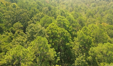 169 Brook Ln, Bee Branch, AR 72058 - photo 5