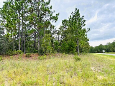 4021 W Malaluka Cir, Dunnellon, FL 34433 - photo 7