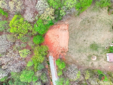 0 Falcon Ln unit 1024877, Carnesville, GA 30521 - photo 4