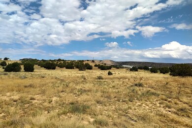 890 W Gina Marie Blvd, Paulden, AZ 86334 - photo 4