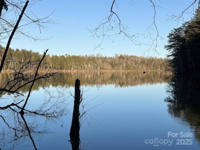 Views from the Shoreline