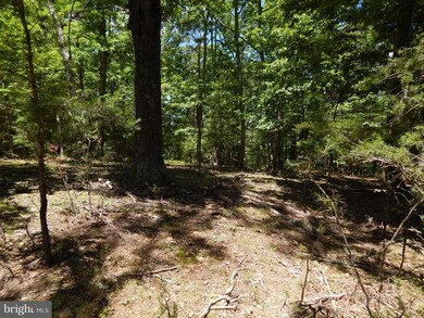LOT 10 Farside Ln, Berkeley Springs, WV 25411 - photo 4