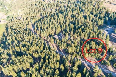 Lot 9 Stonefly Rd, Clinton, MT 59825 - photo 7