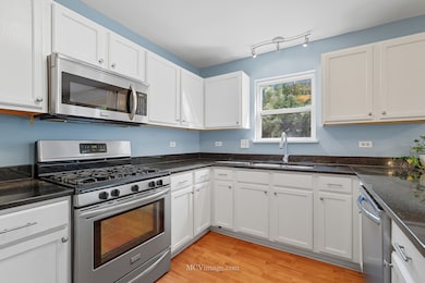 2045 Winding Lakes Dr, Plainfield, IL 60586 - photo 5