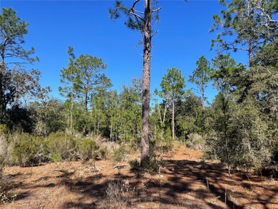 000 NE 51st Place, Williston, FL 32696 - photo 7