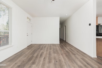 Vinyl Flooring
