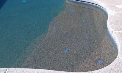 Pool Shelf in self cleaning pool