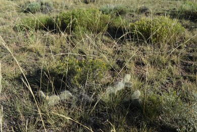 0 Lizard Ln, Gardner, CO 81040 - photo 2