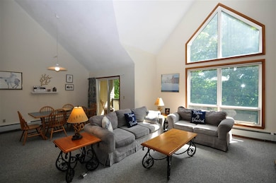 E33 Northbrook Village Rd unit E33, Dover, VT 05356 - photo 7