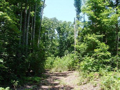 0 Lees Crossing Ln unit 12 38314, Appomattox, VA 24522 - photo 3