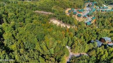 dji_20251010150539_0953_d