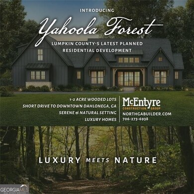 Yahoola Forest