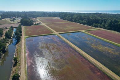 DJI_0128