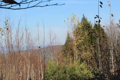 89 W View Ln, Bridgton, ME 04009 - photo 5