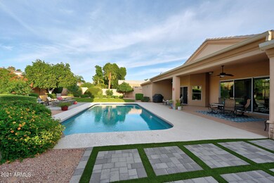Backyard 3