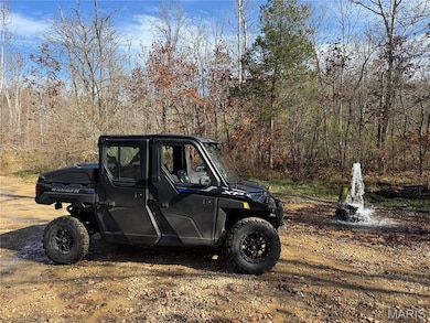 Madison 244 County Road 244, Fredericktown, MO 63645 - photo 4