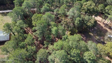 254 Falling Creek Ln, Goldsboro, NC 27530 - photo 6