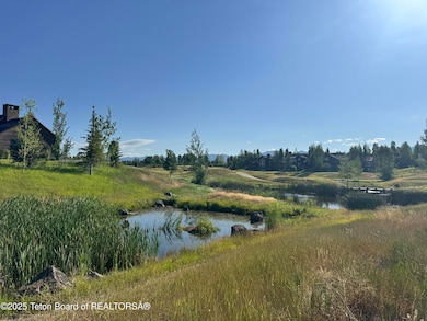 910 Dusty Maiden Ct, Driggs, ID 83422 - photo 3