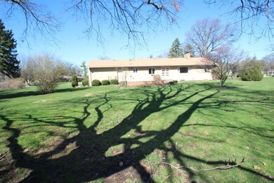 Large trees