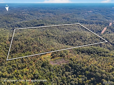 Aerial view of property and surrounding area with a heavily wooded area and property boundaries highlighted