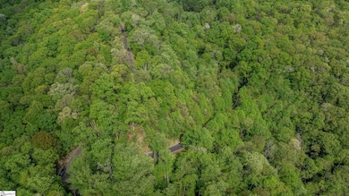 20 Falling Star Way, Landrum, SC 29356 - photo 7