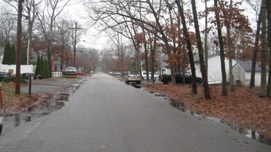 IMG_5968