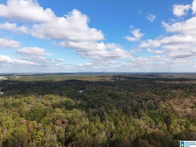 0 Limestone Dr unit 21404125, Calera, AL 35040 - photo 3