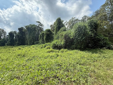 0 Lakeview Ave unit 11595410, Somerset, KY 42501 - photo 4