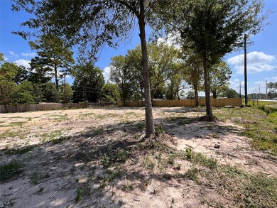 2803 Lauder Rd, Houston, TX 77039 - photo 3