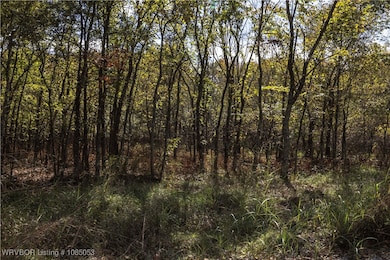 TBD SE 575, Locust Grove, OK 74352 - photo 7