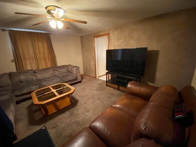 630 W Elm St, New Carlisle, IN 46552 - photo 2