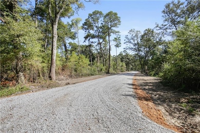 16185 Stellar Ln, Hammond, LA 70403 - photo 3