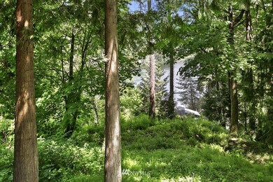 unlisted-address, Stanwood, WA 98292 - photo 4