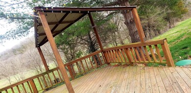 9632 Farm Road 1195, Aurora, MO 65605 - photo 4