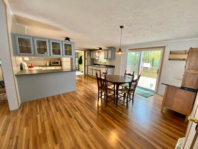 3858 W Wildwood Ave, Bitely, MI 49309 - photo 5