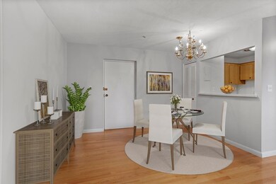 Hillview Condominium unit 557, West Roxbury, MA 02132 - photo 3