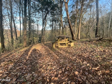 Tbd Hill Station Alley Rd, Gate City, VA 24251 - photo 7