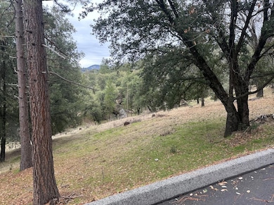 11 Tanglewood Ln, Oakhurst, CA - photo 7