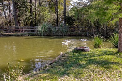 23810 Nichols Sawmill Rd, Hockley, TX 77447 - photo 5