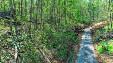 CBJ. Hwy 70 Burem Property. Day 2 MLSa