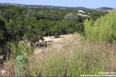 8411 Camp Verde Rio, San Antonio, TX 78255 - photo 2