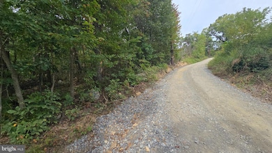 Lot 20 Long View Dr, Luray, VA 22835 - photo 7