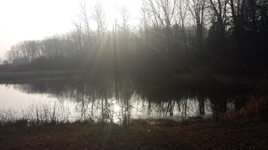 farm pond