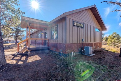 207 Domicile Cir, Pagosa Springs, CO 81147 - photo 4