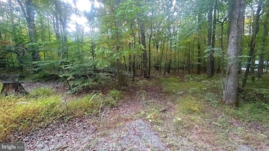 0 Cliff Ln, Bluemont, VA 20135 - photo 7