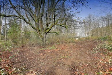 31 58th Ave NW, Stanwood, WA 98292 - photo 7