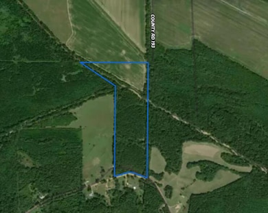 0 Happy Hollow Rd, Woodland, MS 39776 - photo 2